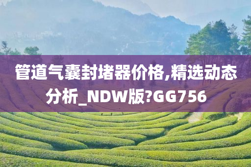 管道气囊封堵器价格,精选动态分析_NDW版?GG756