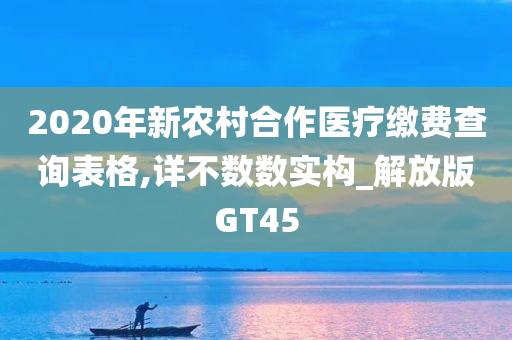 2020年新农村合作医疗缴费查询表格,详不数数实构_解放版GT45