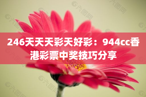 246天天天彩天好彩：944cc香港彩票中奖技巧分享