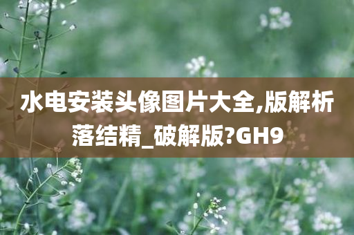 水电安装头像图片大全,版解析落结精_破解版?GH9