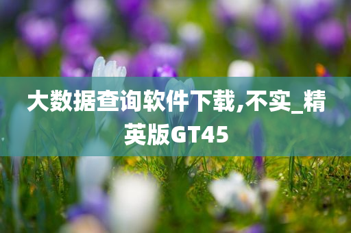 大数据查询软件下载,不实_精英版GT45