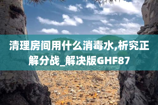 清理房间用什么消毒水,析究正解分战_解决版GHF87