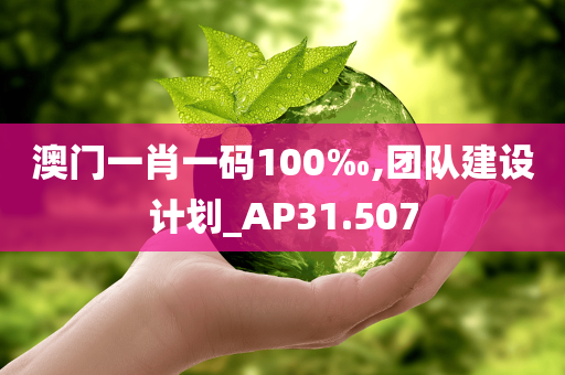 澳门一肖一码100‰,团队建设计划_AP31.507