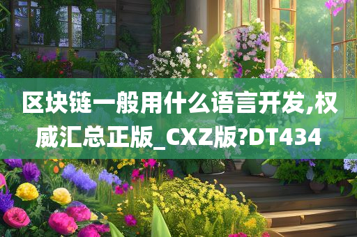 区块链一般用什么语言开发,权威汇总正版_CXZ版?DT434