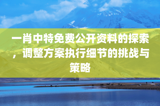 一肖中特免费公开资料的探索，调整方案执行细节的挑战与策略