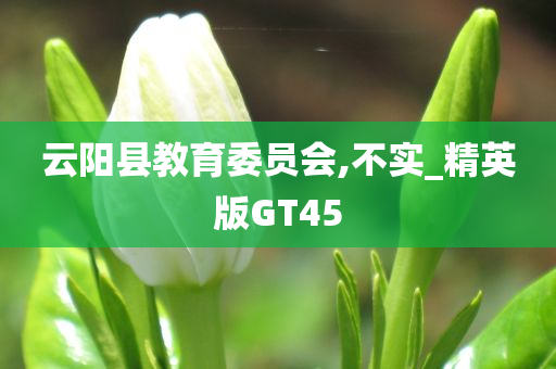 云阳县教育委员会,不实_精英版GT45