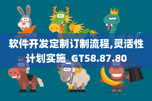 软件开发定制订制流程,灵活性计划实施_GT58.87.80