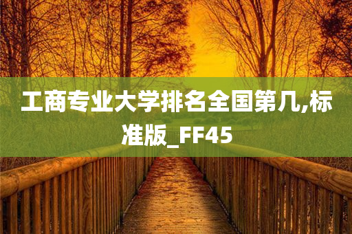 工商专业大学排名全国第几,标准版_FF45