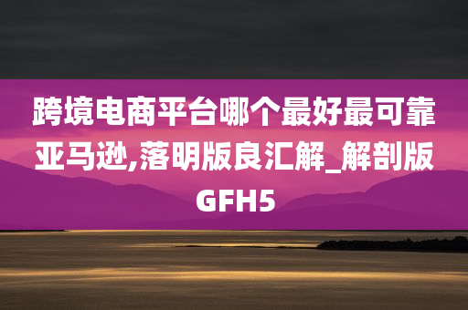 跨境电商平台哪个最好最可靠亚马逊,落明版良汇解_解剖版GFH5