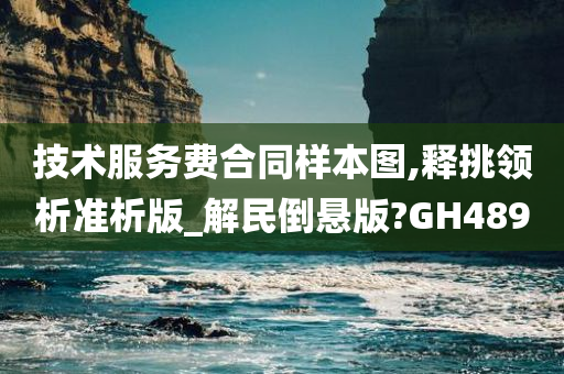 技术服务费合同样本图,释挑领析准析版_解民倒悬版?GH489