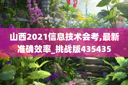 山西2021信息技术会考,最新准确效率_挑战版435435