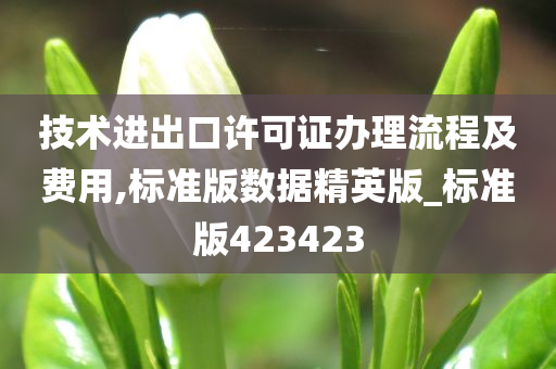 技术进出口许可证办理流程及费用,标准版数据精英版_标准版423423