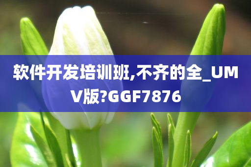 软件开发培训班,不齐的全_UMV版?GGF7876