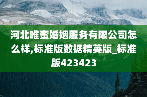 河北唯蜜婚姻服务有限公司怎么样,标准版数据精英版_标准版423423