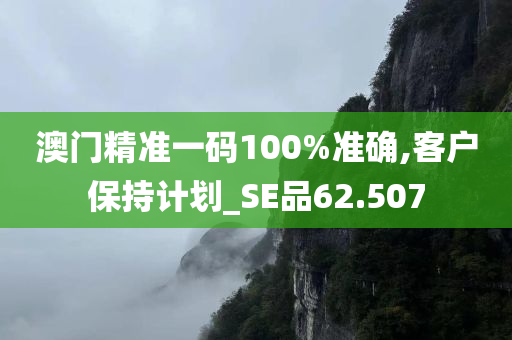 澳门精准一码100%准确,客户保持计划_SE品62.507