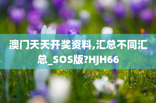 澳门天天开奖资料,汇总不同汇总_SOS版?HJH66