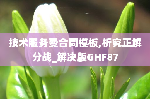 技术服务费合同模板,析究正解分战_解决版GHF87