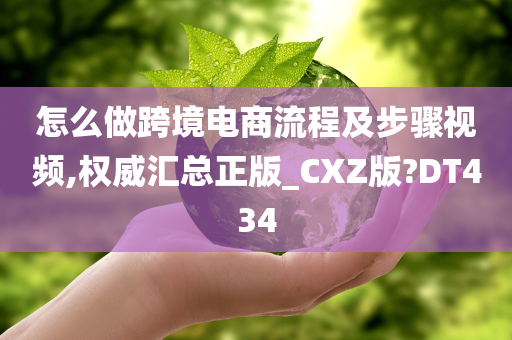 怎么做跨境电商流程及步骤视频,权威汇总正版_CXZ版?DT434