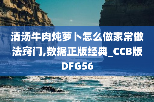 清汤牛肉炖萝卜怎么做家常做法窍门,数据正版经典_CCB版DFG56