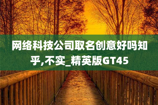 网络科技公司取名创意好吗知乎,不实_精英版GT45