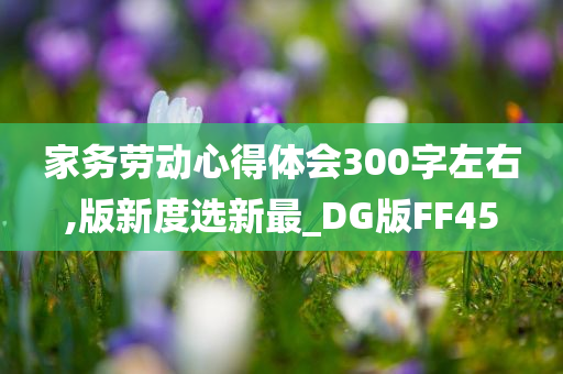 家务劳动心得体会300字左右,版新度选新最_DG版FF45