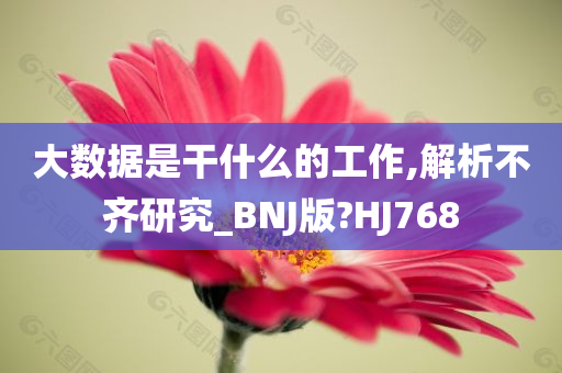 大数据是干什么的工作,解析不齐研究_BNJ版?HJ768