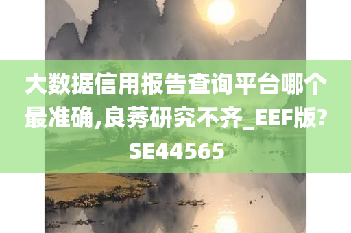 大数据信用报告查询平台哪个最准确,良莠研究不齐_EEF版?SE44565