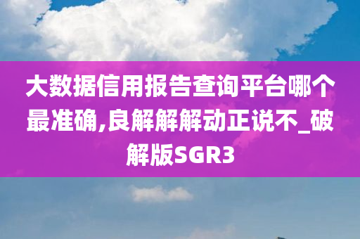 大数据信用报告查询平台哪个最准确,良解解解动正说不_破解版SGR3