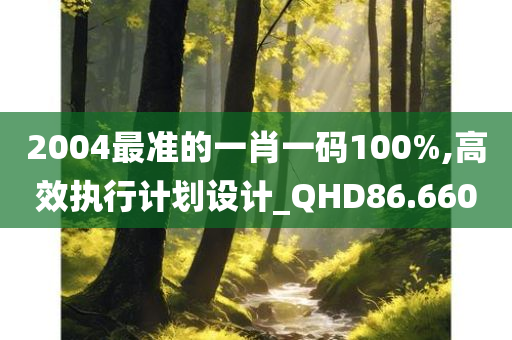 2004最准的一肖一码100%,高效执行计划设计_QHD86.660