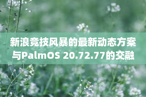 新浪竞技风暴的最新动态方案与PalmOS 20.72.77的交融