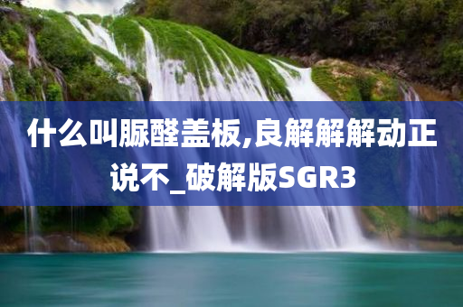 什么叫脲醛盖板,良解解解动正说不_破解版SGR3