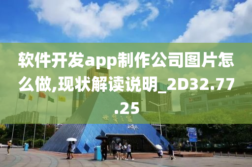 软件开发app制作公司图片怎么做,现状解读说明_2D32.77.25