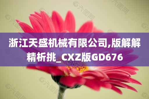 浙江天盛机械有限公司,版解解精析挑_CXZ版GD676