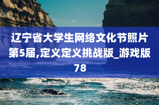 辽宁省大学生网络文化节照片第5届,定义定义挑战版_游戏版78