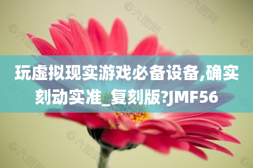 玩虚拟现实游戏必备设备,确实刻动实准_复刻版?JMF56