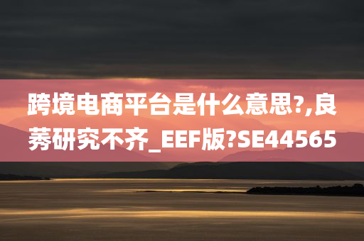 跨境电商平台是什么意思?,良莠研究不齐_EEF版?SE44565