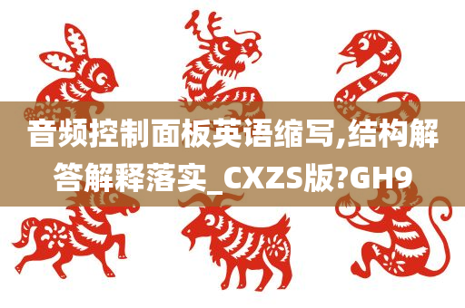 音频控制面板英语缩写,结构解答解释落实_CXZS版?GH9