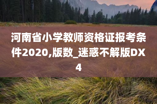 河南省小学教师资格证报考条件2020,版数_迷惑不解版DX4