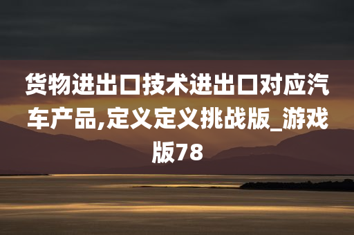 货物进出口技术进出口对应汽车产品,定义定义挑战版_游戏版78