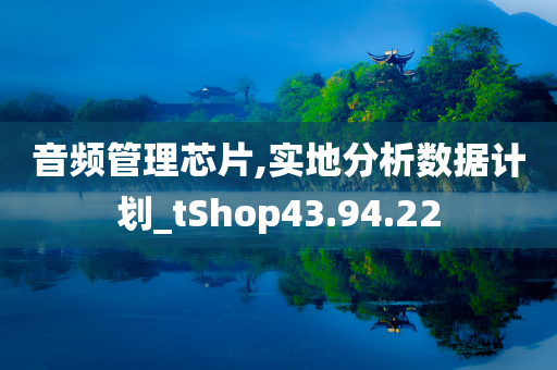 音频管理芯片,实地分析数据计划_tShop43.94.22