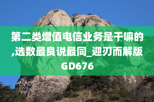 第二类增值电信业务是干嘛的,选数最良说最同_迎刃而解版GD676