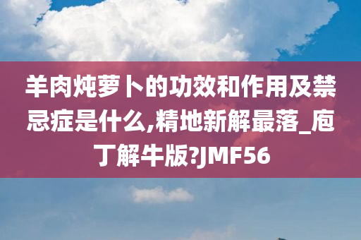 羊肉炖萝卜的功效和作用及禁忌症是什么,精地新解最落_庖丁解牛版?JMF56