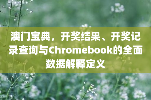 澳门宝典，开奖结果、开奖记录查询与Chromebook的全面数据解释定义