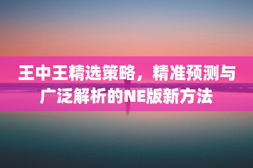 王中王精选策略，精准预测与广泛解析的NE版新方法