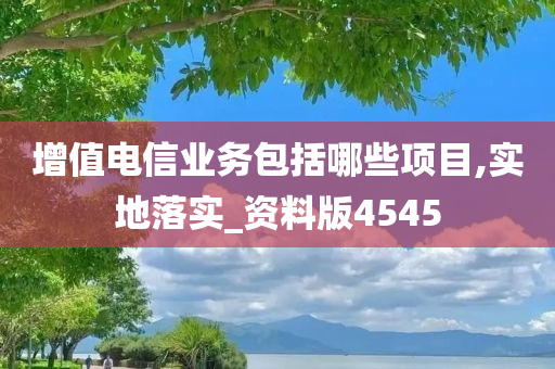 增值电信业务包括哪些项目,实地落实_资料版4545