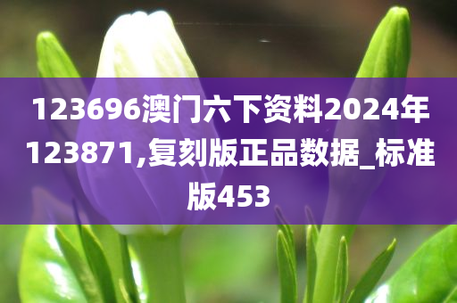 123696澳门六下资料2024年123871,复刻版正品数据_标准版453