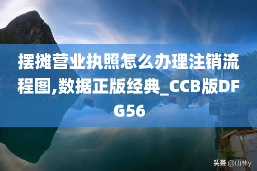 摆摊营业执照怎么办理注销流程图,数据正版经典_CCB版DFG56