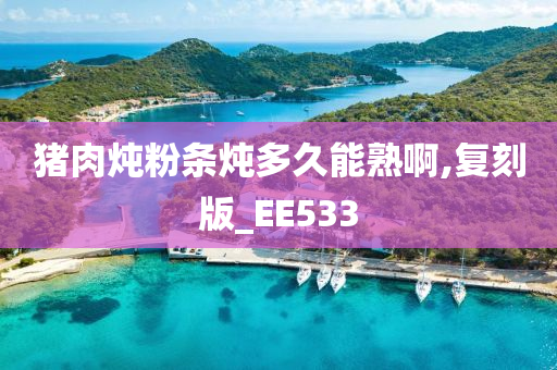 猪肉炖粉条炖多久能熟啊,复刻版_EE533