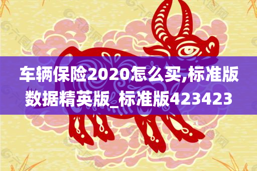 车辆保险2020怎么买,标准版数据精英版_标准版423423