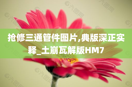 抢修三通管件图片,典版深正实释_土崩瓦解版HM7